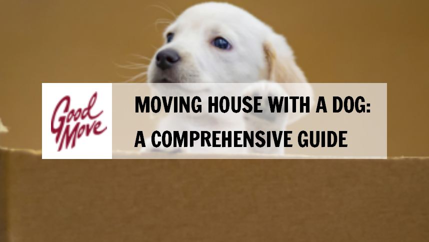 Moving House with a Dog: A Comprehensive Guide
