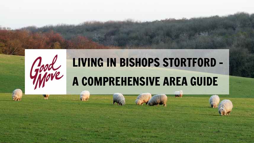 Living in Bishops Stortford – A Comprehensive Area Guide