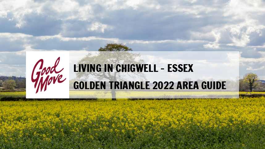 Living in Chigwell – Essex Golden Triangle 2022 Area Guide