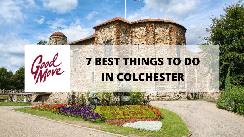 7 Best Things To Do In Colchester