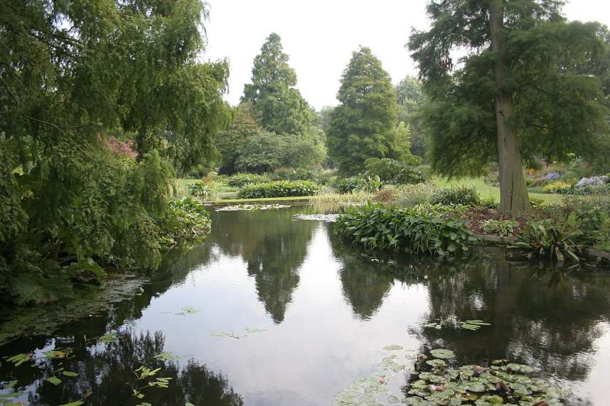 The Water Garden, Beth Chatto Gardens