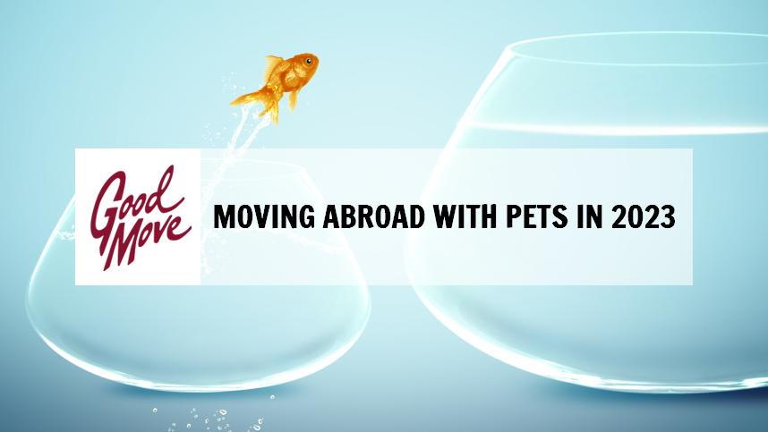Moving Abroad With Pets