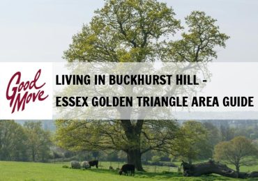 Living in Buckhurst Hill – Essex Golden Triangle Area Guide