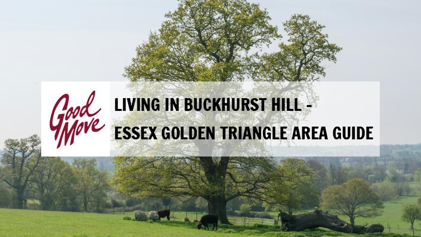 Living in Buckhurst Hill – Essex Golden Triangle Area Guide