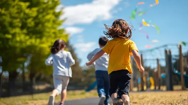 16. A Family-Friendly Landscape