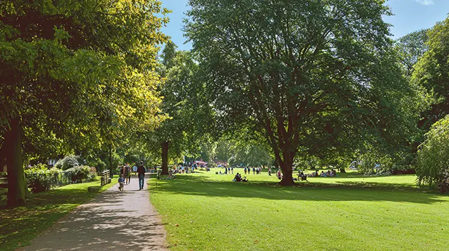 8. Plenty of Green Spaces