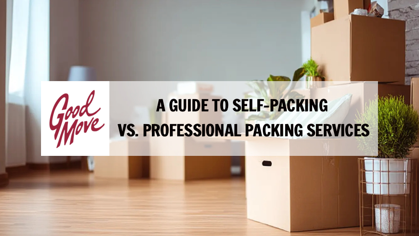 A Guide to Self-Packing vs. Professional Packing Services