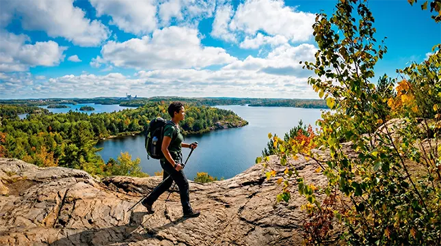 Things to Do and Local Lifestyle