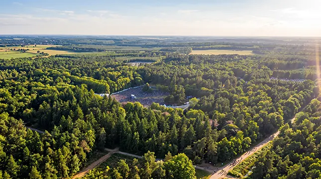 Thetford Forest and the Great Outdoors