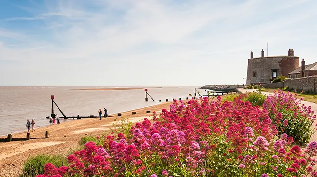 Things to Do and Local Lifestyle